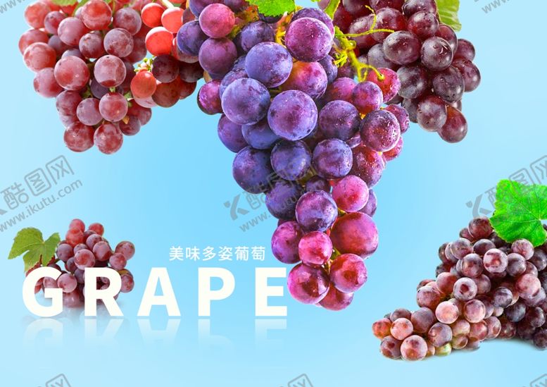 编号：24774709250207044935【酷图网】源文件下载-清新葡萄海报