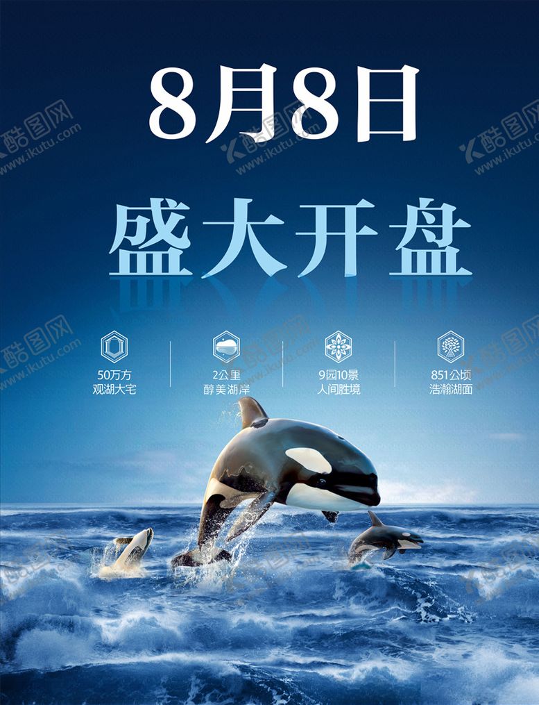 编号：39328909241321065364【酷图网】源文件下载-海豚鲸鱼开盘背景海报