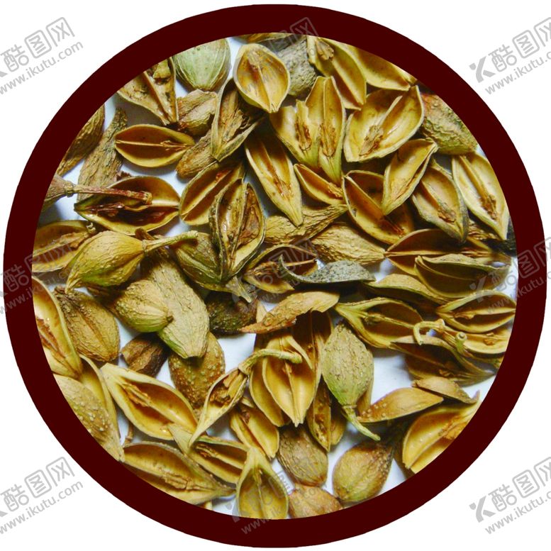 编号：96554007030516092606【酷图网】源文件下载-中药连翅