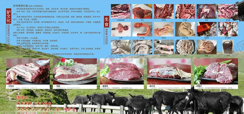 编号：18746604302247494827【酷图网】源文件下载-驴文化介绍