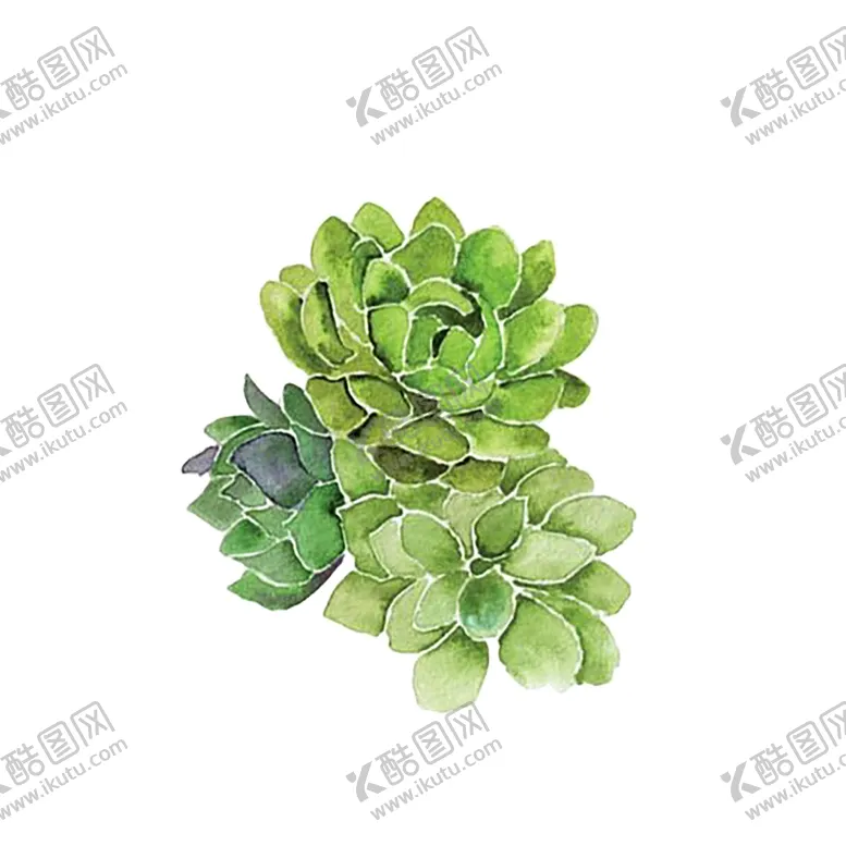 编号：21628406180239165434【酷图网】源文件下载-绿色相框