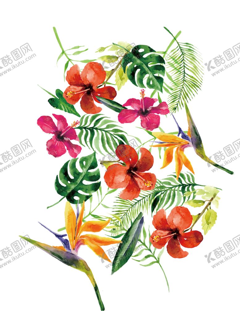 编号：21108809242329572869【酷图网】源文件下载-鲜花素材