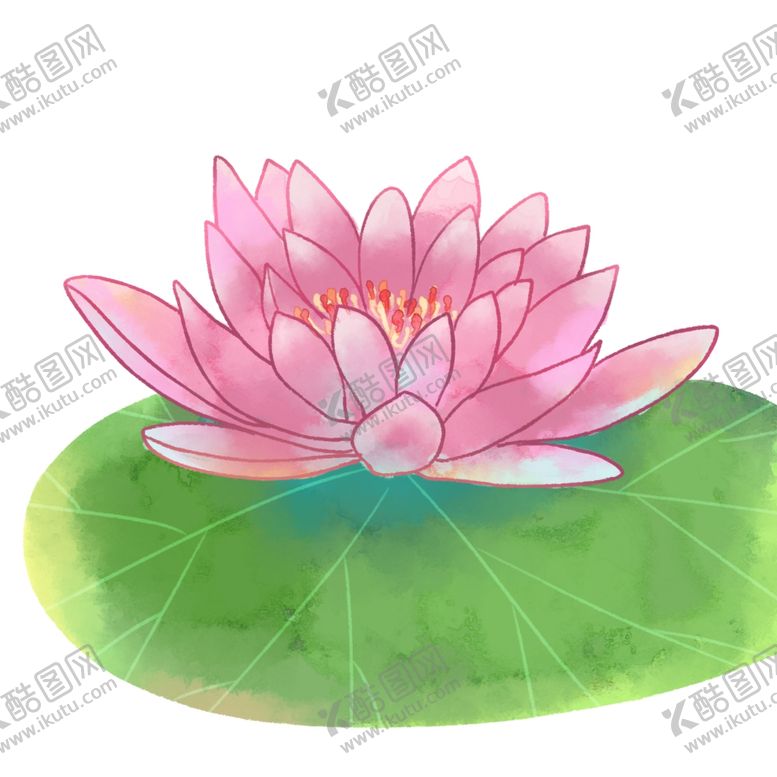 编号：66526605171939473782【酷图网】源文件下载-睡莲