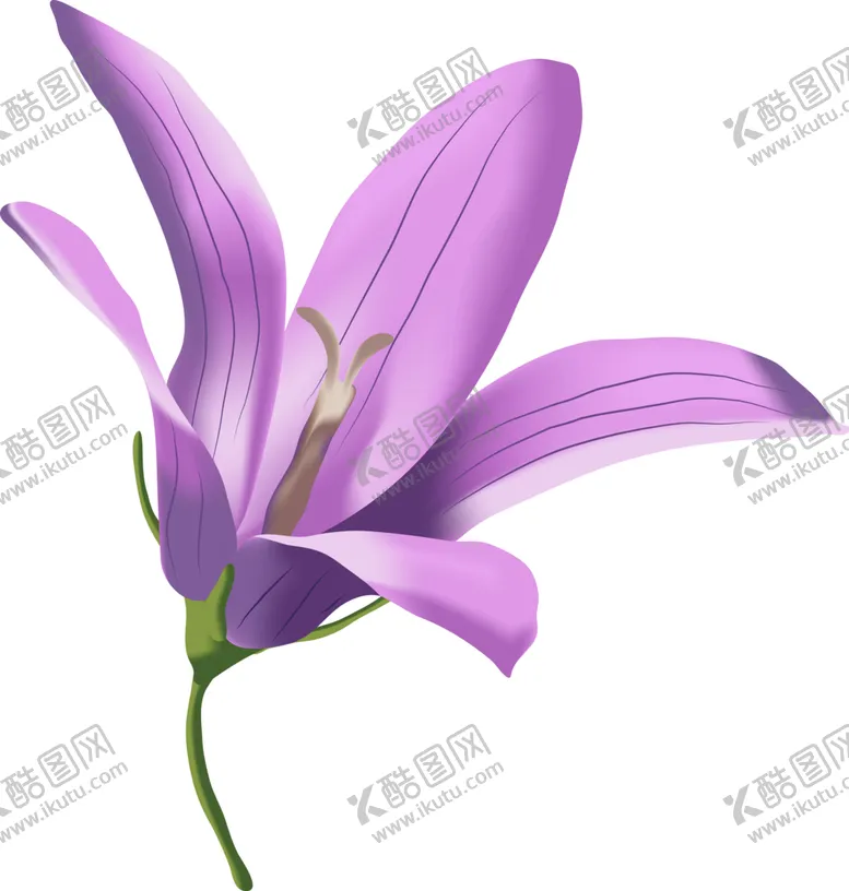 编号：71255901272334468622【酷图网】源文件下载-卡通手绘花卉