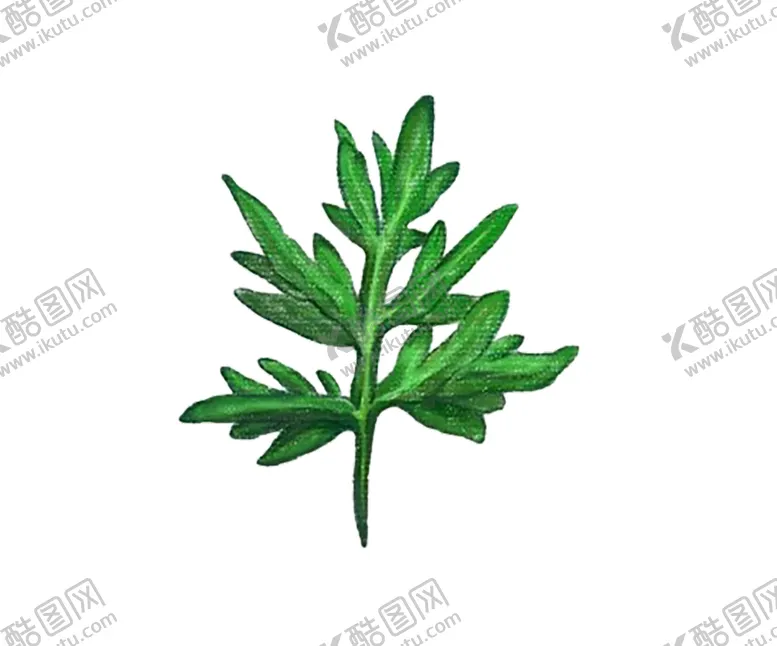 编号：10472306302235531411【酷图网】源文件下载-绿色植物