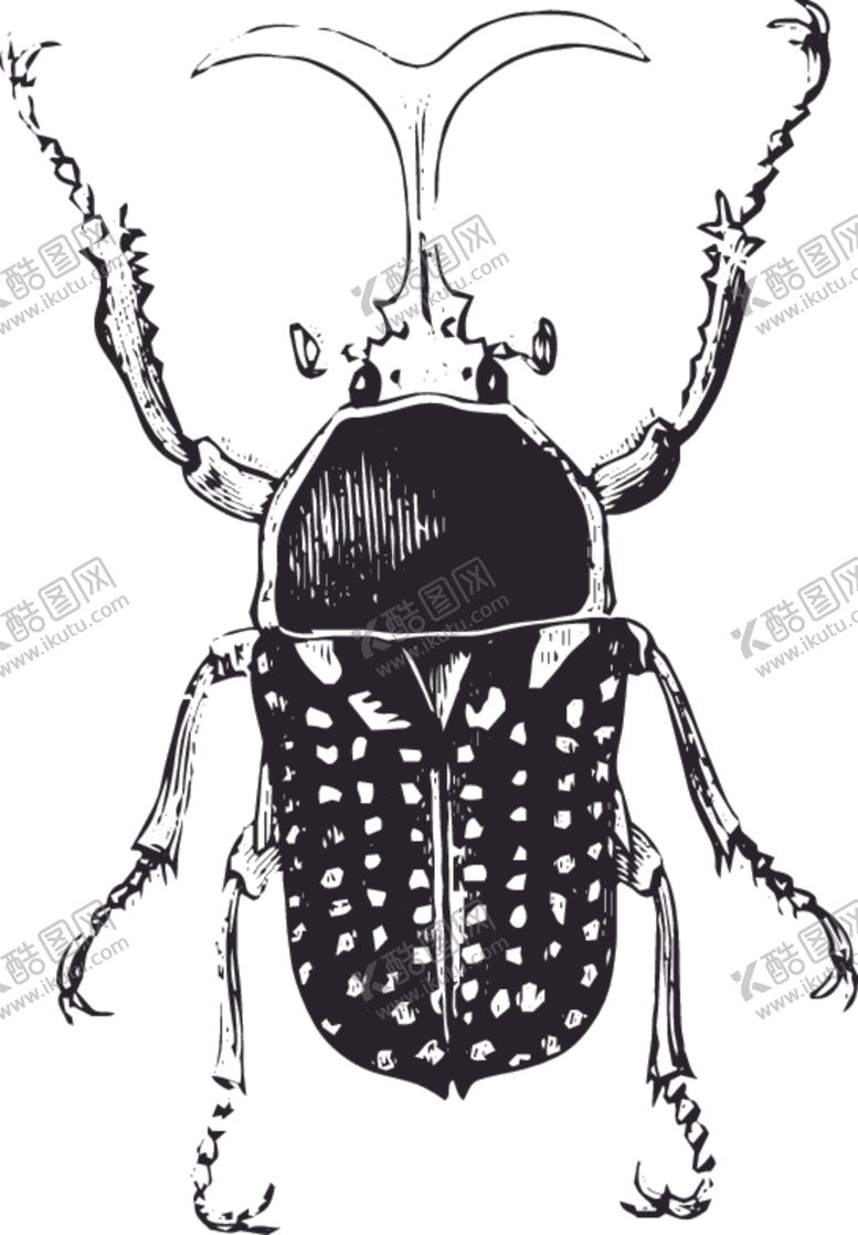编号：23632909162210535909【酷图网】源文件下载-自然昆虫标本插画