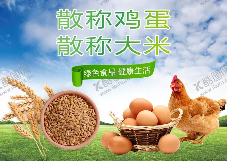 编号：97011702230954031091【酷图网】源文件下载-健康鸡蛋