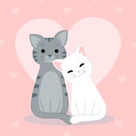 猫咪背景宠物可爱壁纸小