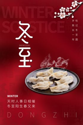 冬至飞机稿手机海报主题