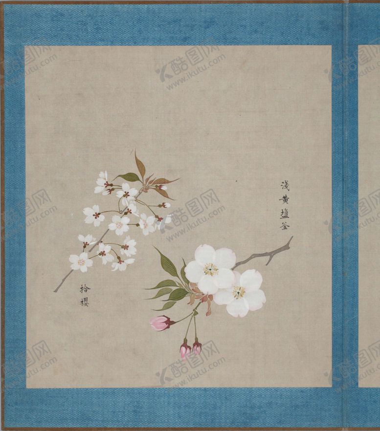 编号：20292503281111508103【酷图网】源文件下载-樱花