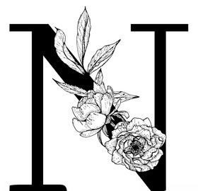 字母