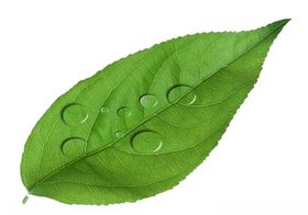 水滴素材矢量图