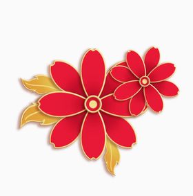 牡丹花卉