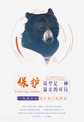 保护野生动物