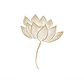 中国风 白莲花