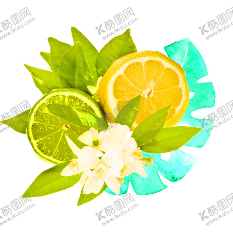 编号：60250609282027293026【酷图网】源文件下载-浪漫素材