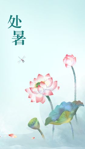 处暑海报荷花