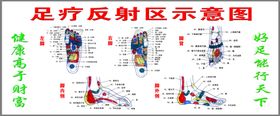 足疗反射区