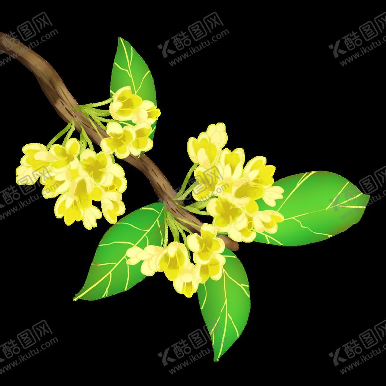 编号：13092710110917362174【酷图网】源文件下载- 手绘桂花png免抠素材