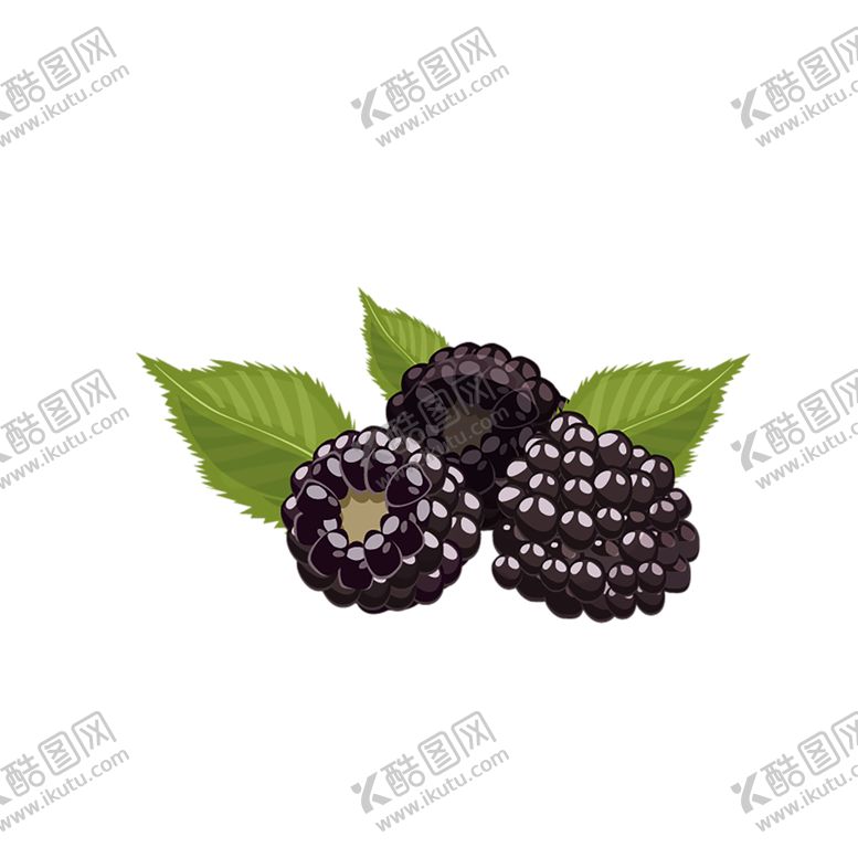 编号：51774610221448114503【酷图网】源文件下载-水果