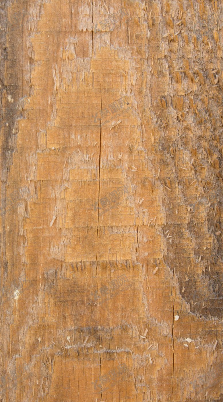 编号：65272110081225357854【酷图网】源文件下载-树皮