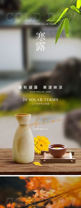 寒露海报茶杯二十四节气美图秋意