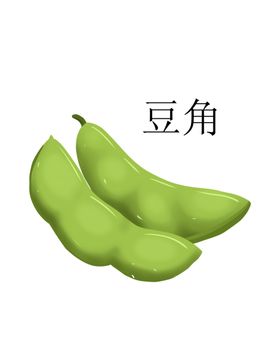 豆角插画