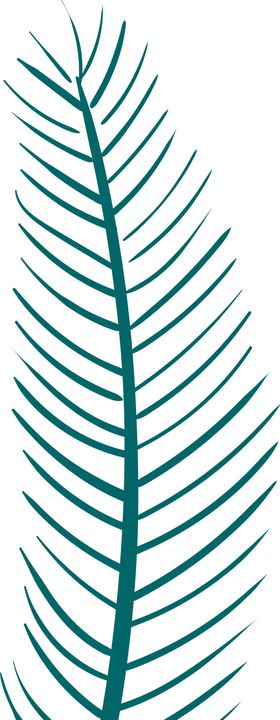 植物树叶花枝psd素材