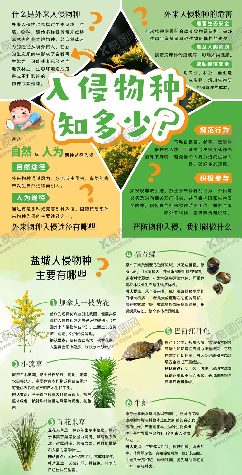 编号：84822602271330077102【酷图网】源文件下载-自然物种入侵两折页