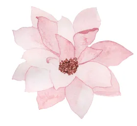 水彩绘画玉兰花图案