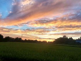 夕阳白露