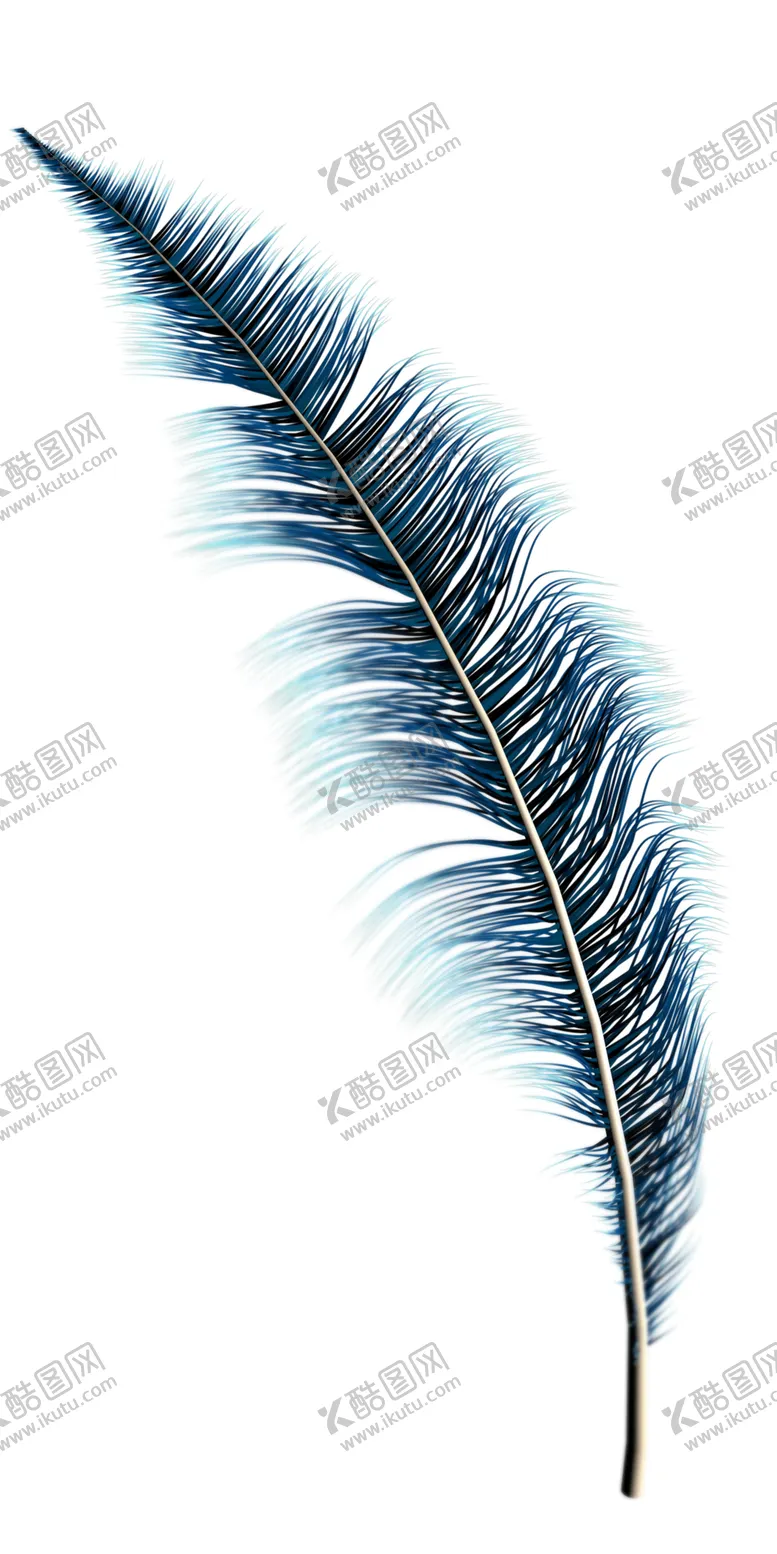编号：92928002171931295521【酷图网】源文件下载-羽毛 素材