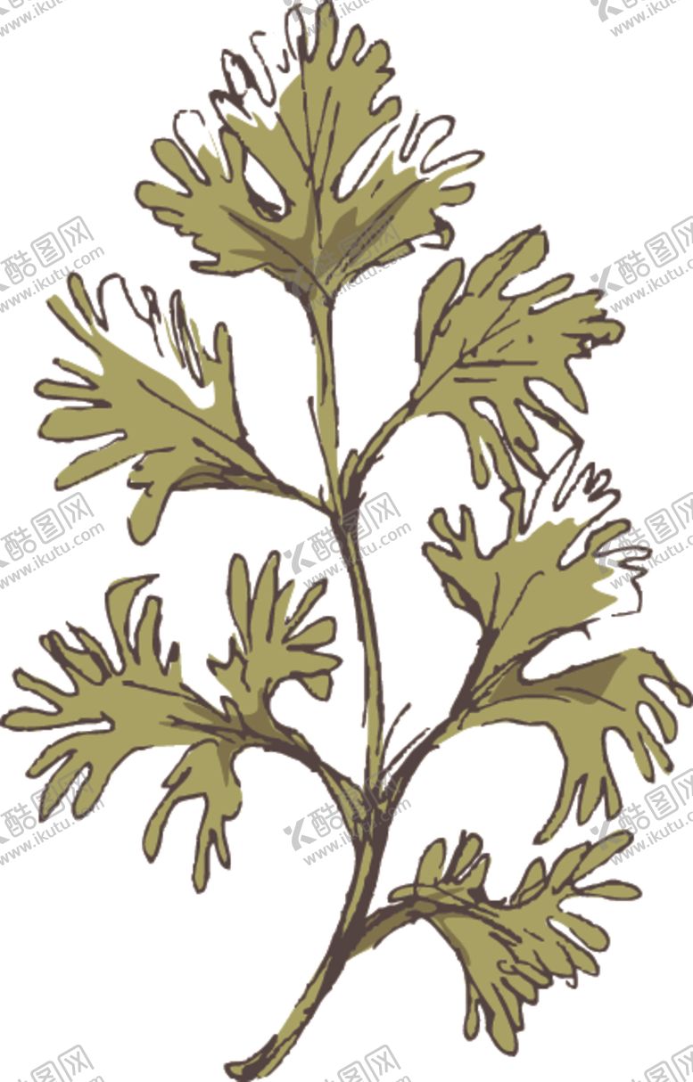 编号：12723709301755068696【酷图网】源文件下载-素描鲜花