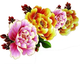 牡丹花