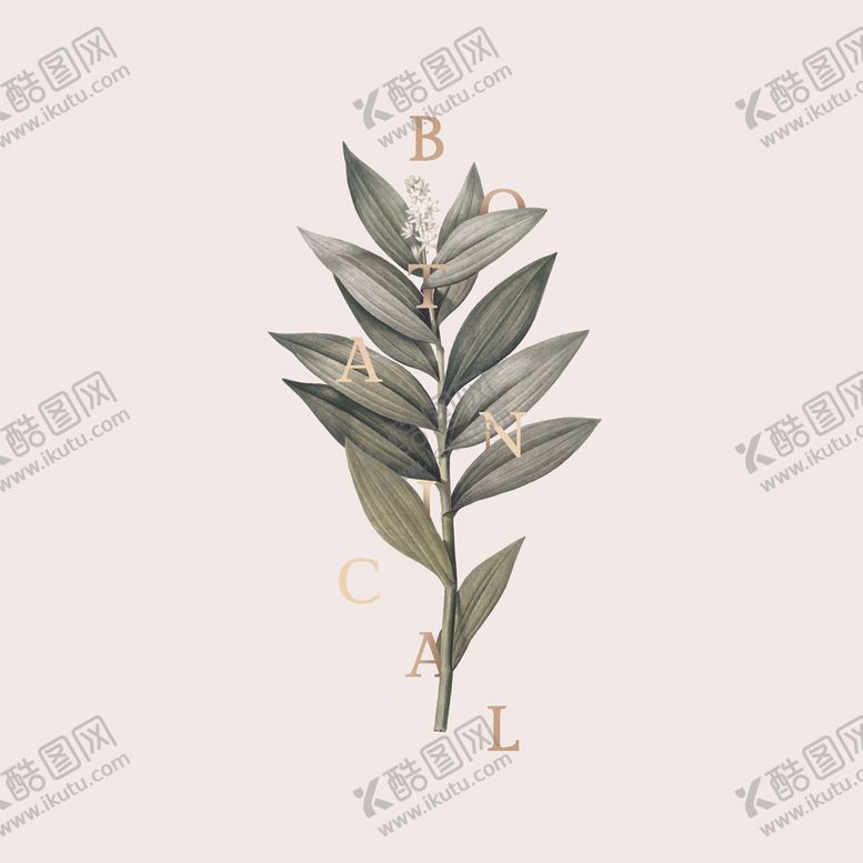 编号：54897709141932388044【酷图网】源文件下载-叶子边框