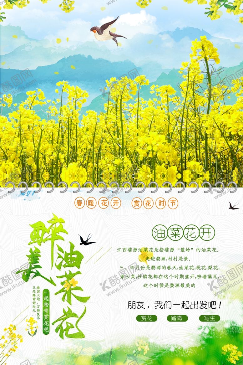 编号：64458009260427108005【酷图网】源文件下载-油菜花