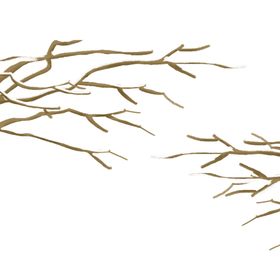 冬季植物元素