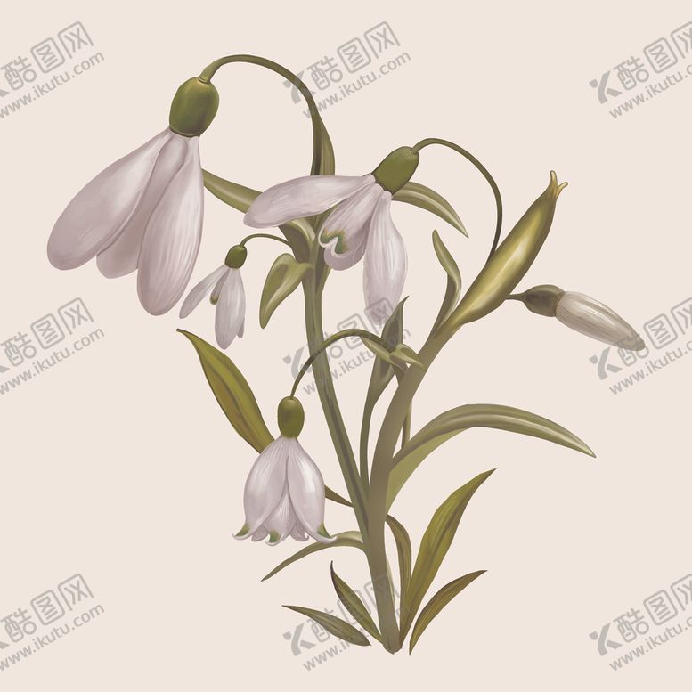 编号：69061009201127527503【酷图网】源文件下载-创意手绘素材