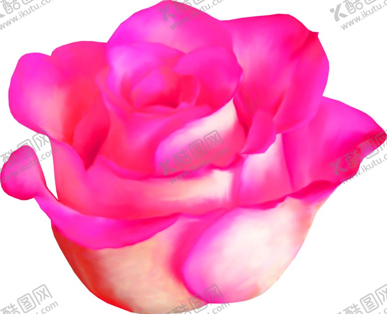 编号：32229009221306473867【酷图网】源文件下载-花素材