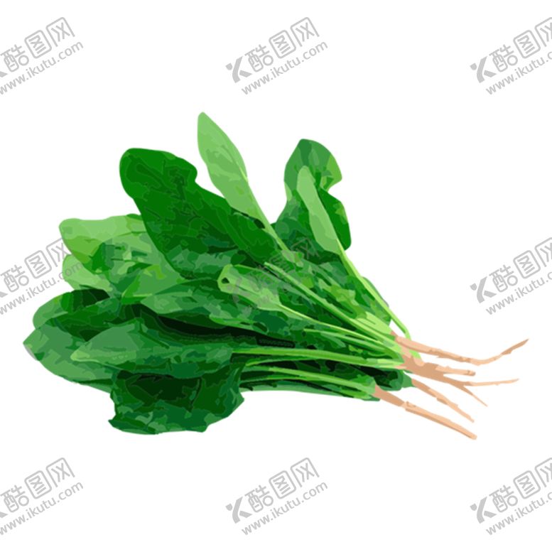 编号：29690407092330349077【酷图网】源文件下载-菠菜