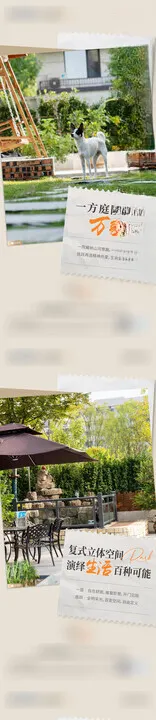 价值刷屏洋房院子生活