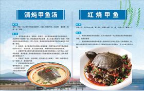 中华鳖