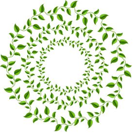 边框相框矢量花欧式欧式花