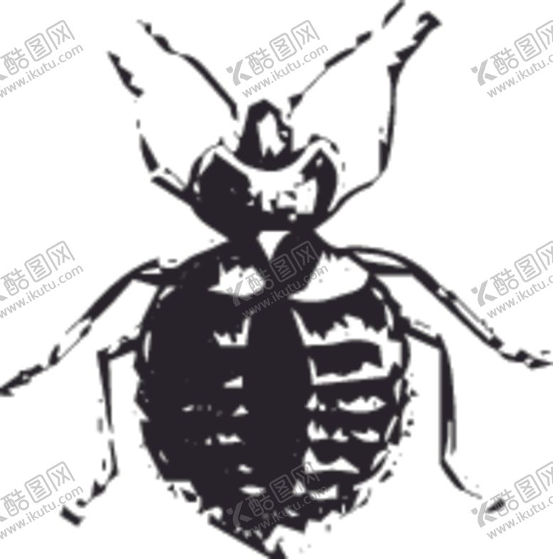 编号：86052510200916392960【酷图网】源文件下载-自然昆虫标本插画