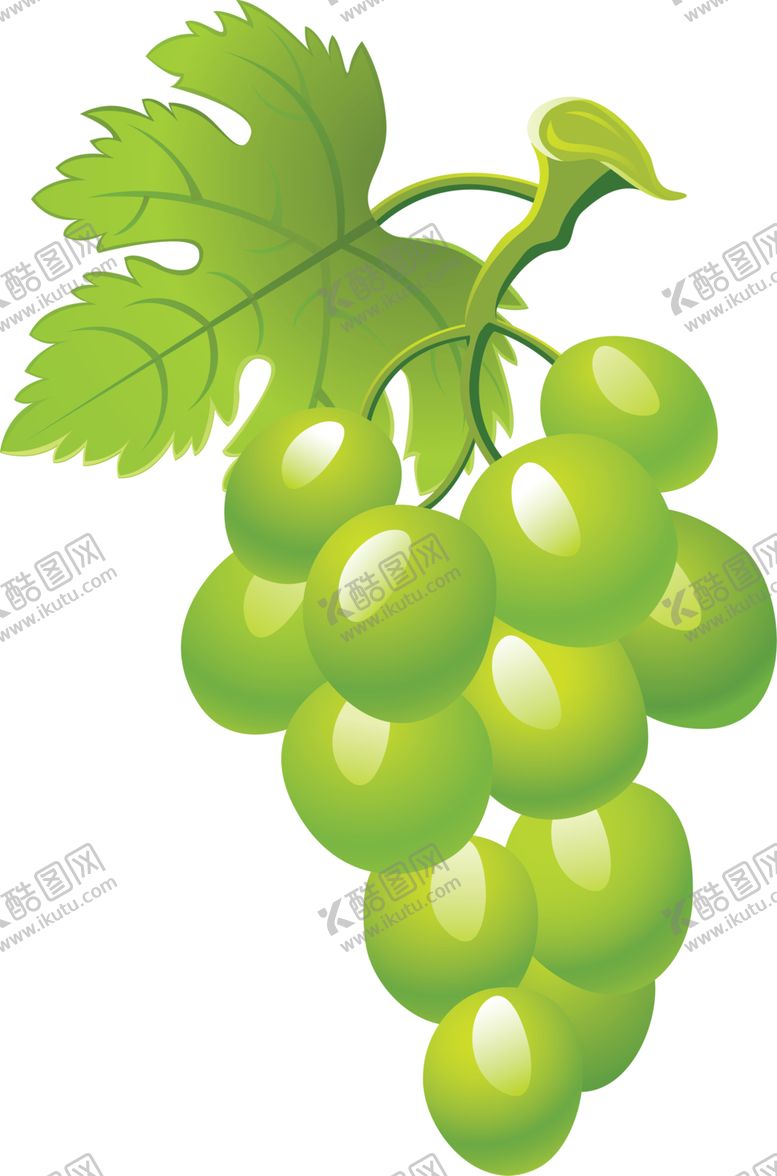 编号：91954707060225415665【酷图网】源文件下载-葡萄