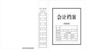 会计档案账簿类