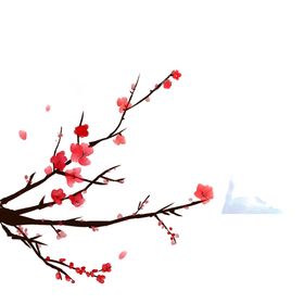 中国风水墨梅