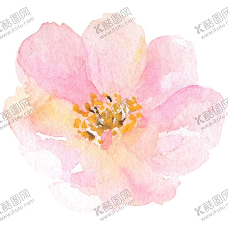 编号：13294909300306079081【酷图网】源文件下载-北欧小清新水彩花朵插画