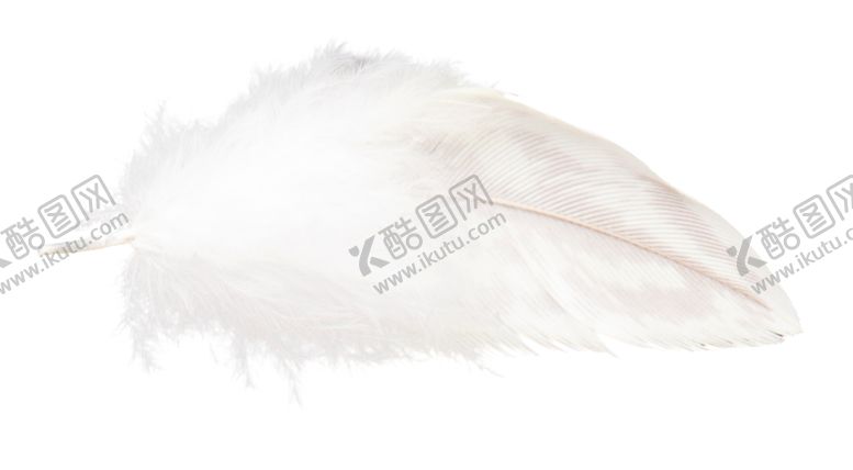 编号：95871709250958056986【酷图网】源文件下载-白色羽毛漂浮素材