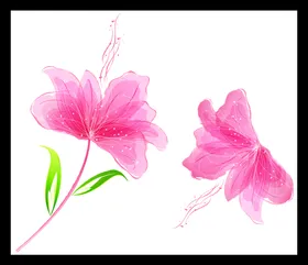 手绘花卉花朵素材素材